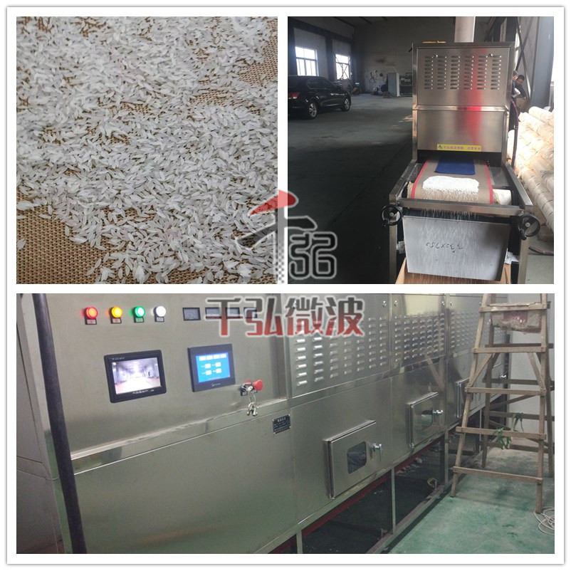 營(yíng)養(yǎng)大米微波烘干殺菌設(shè)備_副本.jpg