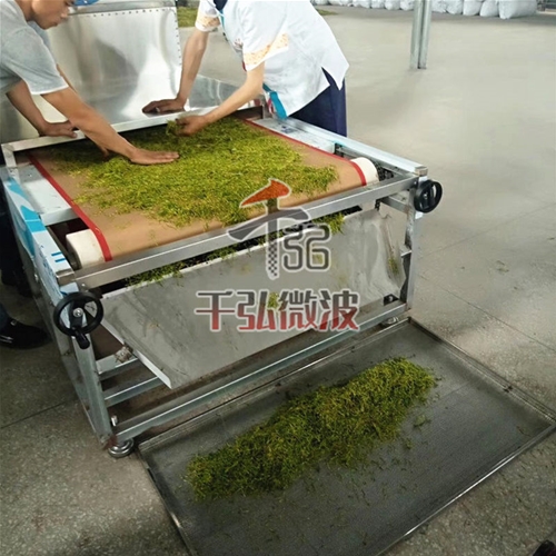 微波殺青機(jī)