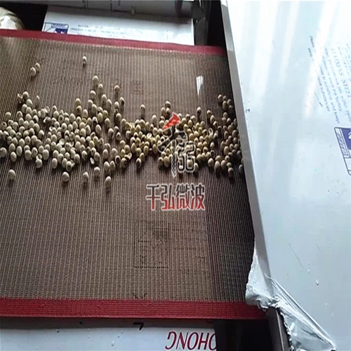 蓮子微波烘干設(shè)備