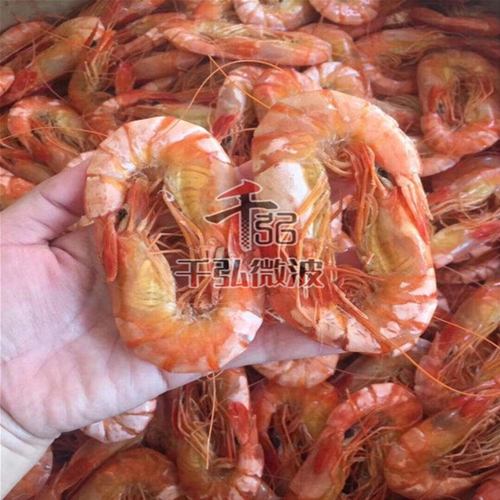 大蝦微波烘烤設(shè)備