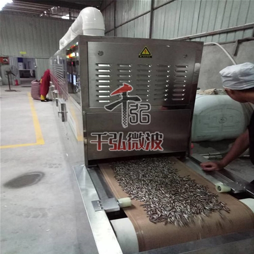 瓜子微波熟化設(shè)備
