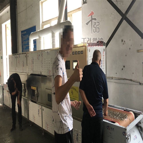 瓜子微波熟化設(shè)備