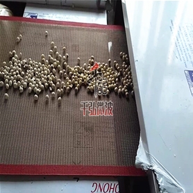 蓮子微波烘干設(shè)備