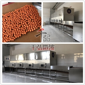 花生粘微波熟化設(shè)備